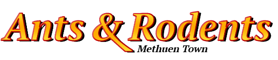 Methuen Town Ant Exterminator & Rodent Control Company Logo